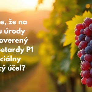 Ako ochrániť úrodu pred škorcami? Generátory zvuku P1 zachránia vašu celoročnú námahu Ako ochrániť úrodu pred škorcami? Generátory zvuku P1 zachránia vašu celoročnú námahu