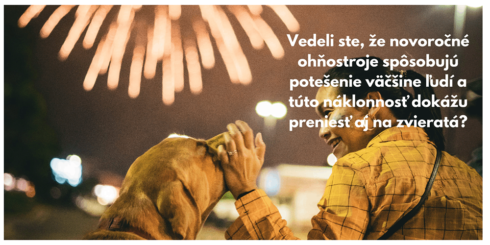 Novoron oslavy nezostali bez nsledkov