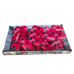 Detsk� pyrotechnika Biedronka 12ks/bal